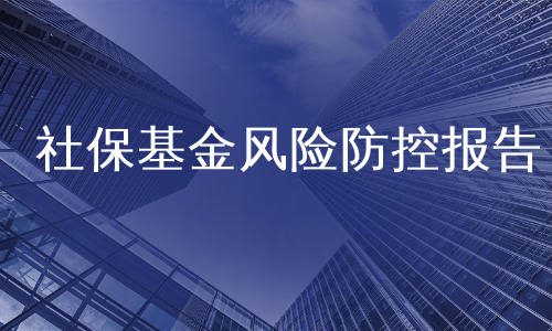 社保基金风险防控报告