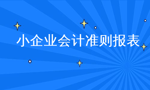 小企业会计准则报表