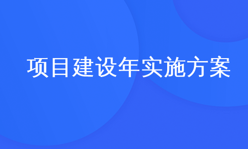 项目建设年实施方案