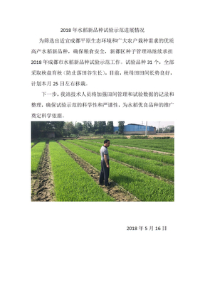 2018年水稻新品种试验示范进展情况