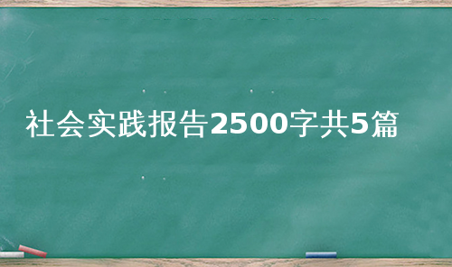 社会实践报告2500字共5篇