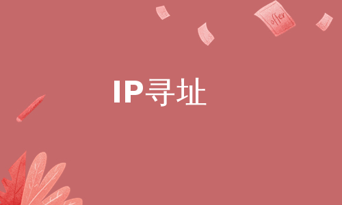 IP寻址