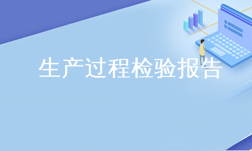 生产过程检验报告
