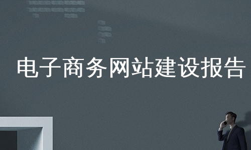电子商务网站建设报告