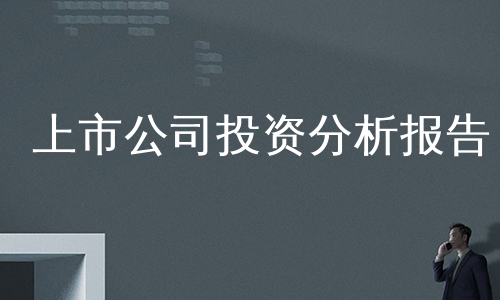 上市公司投资分析报告