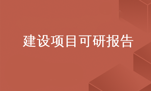 建设项目可研报告