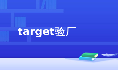 target验厂