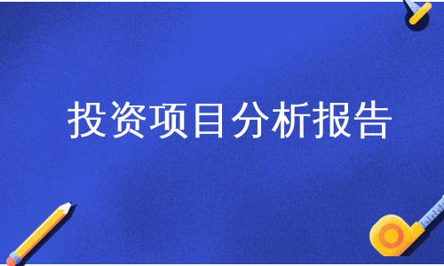 投资项目分析报告