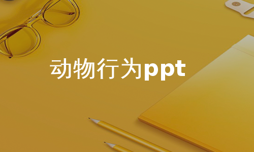 动物行为ppt