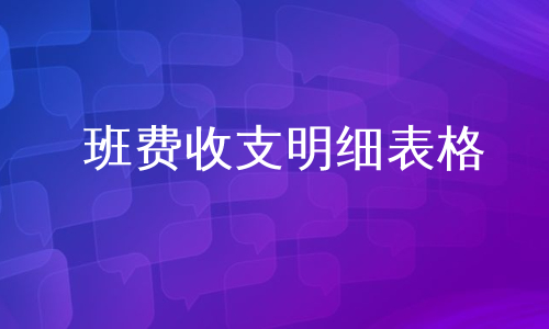 班费收支明细表格