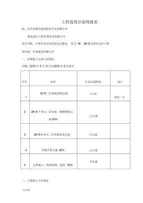 工程进度计划周报表