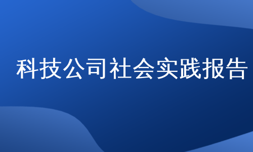 科技公司社会实践报告