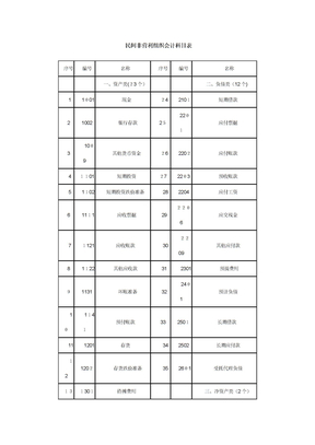 「民间非营利组织会计科目」