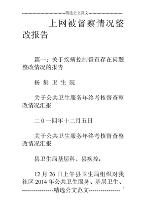 上网被督察情况整改报告