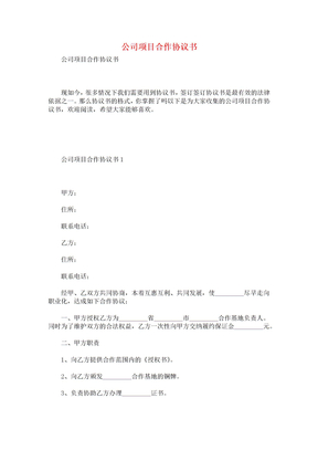 公司项目合作协议书