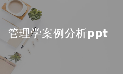 管理学案例分析ppt