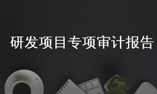 研发项目专项审计报告