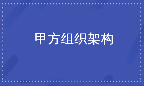 甲方组织架构