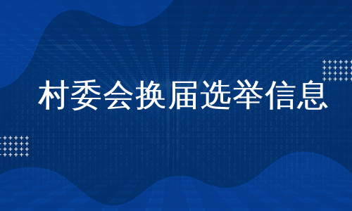 村委会换届选举信息