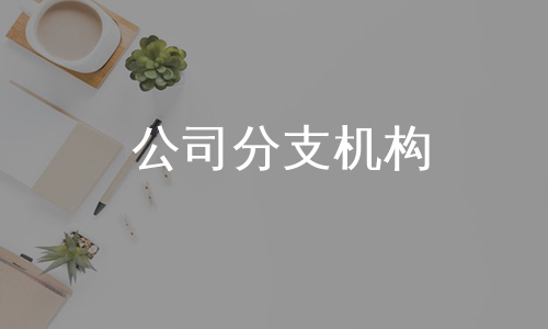 公司分支机构