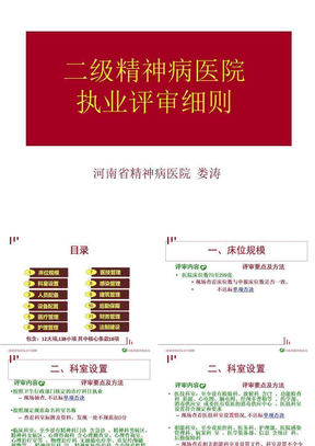 二级精神病医院评审标准新