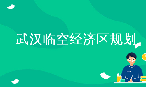 武汉临空经济区规划