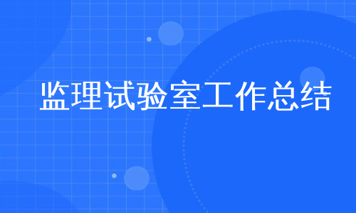 监理试验室工作总结