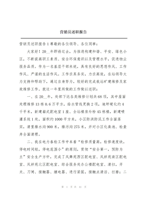 营销员述职报告