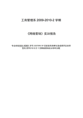 网络营销实训报告