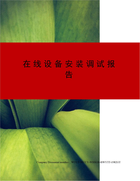 在线设备安装调试报告