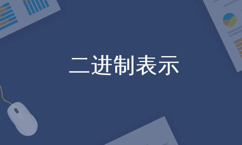 二进制表示