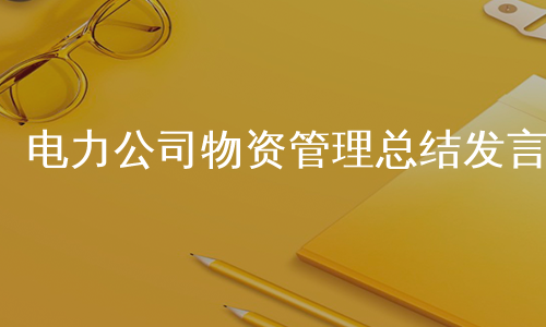 电力公司物资管理总结发言