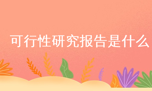 可行性研究报告是什么