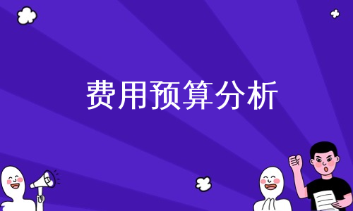 费用预算分析