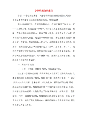 小班班级自查报告