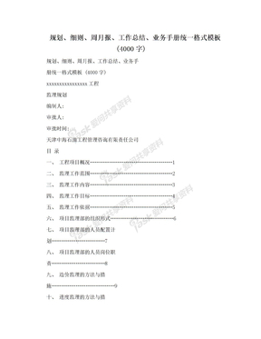 规划、细则、周月报、工作总结、业务手册统一格式模板 (4000字)