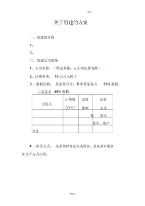 公司组建方案