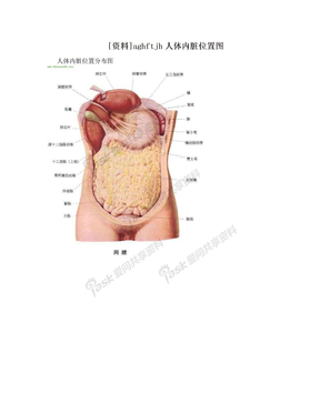 [资料]aghftjh人体内脏位置图