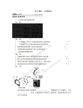 第七单元  第23课时人类遗传病