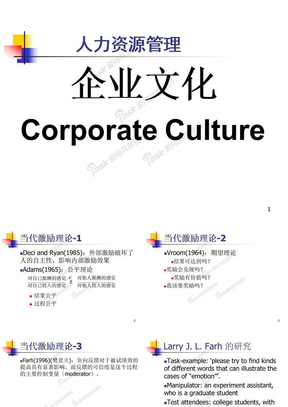 人力资源管理第10章企业文化