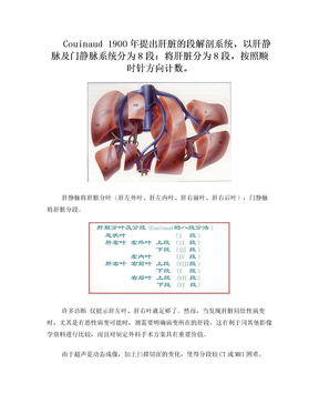 肝脏超声分段