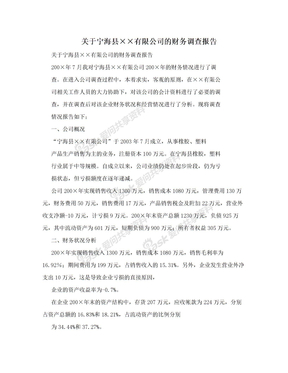 关于宁海县××有限公司的财务调查报告