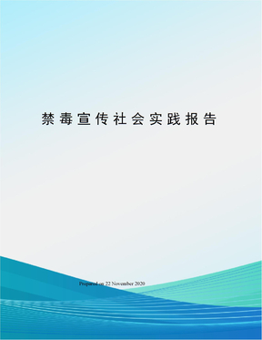 禁毒宣传社会实践报告