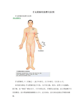 手太阴肺经按摩穴位图