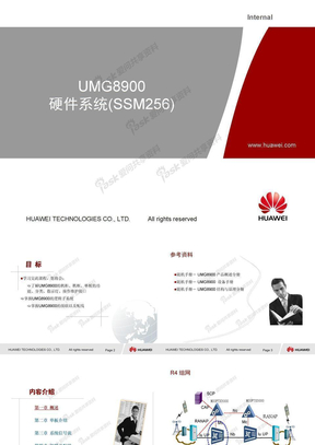WH500102 UMG8900 硬件系统(SSM256) ISSUE2