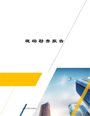 现场勘查报告