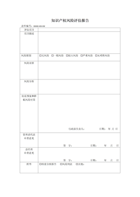 知识产权风险评估报告