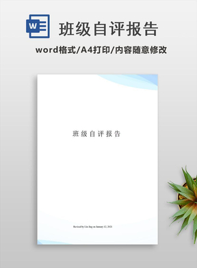 班级自评报告