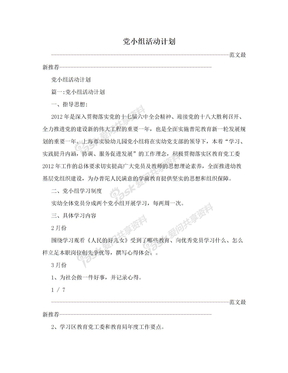 党小组活动计划