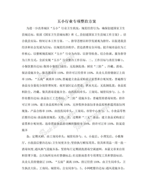 五小行业专项整治方案